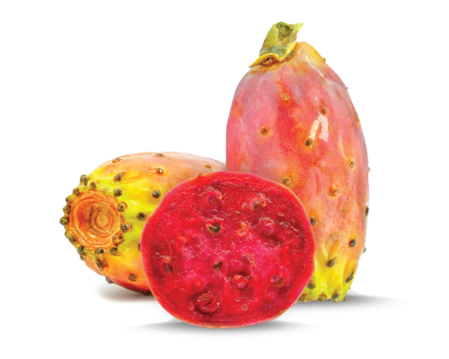 Fico d'India - Golita Fico d'India - Golita