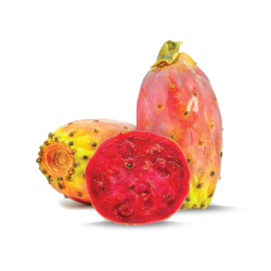 Fico d'India - Golita 