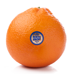 Arance Golita - Arance Golose 