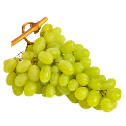 Uva da tavola - Golita 